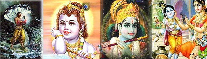 krishna_top.jpg (68965 bytes)